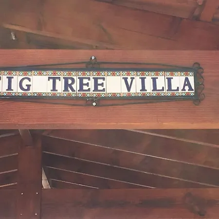 빌라 Fig Tree *