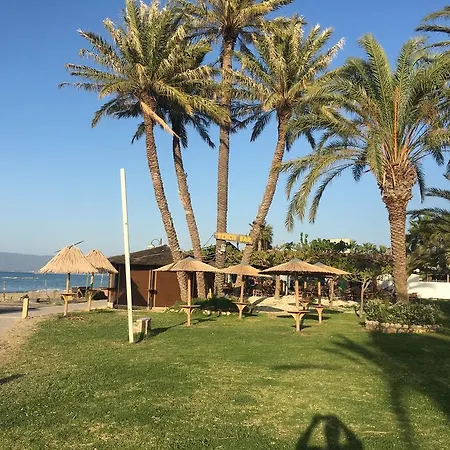 Fig Tree Villa